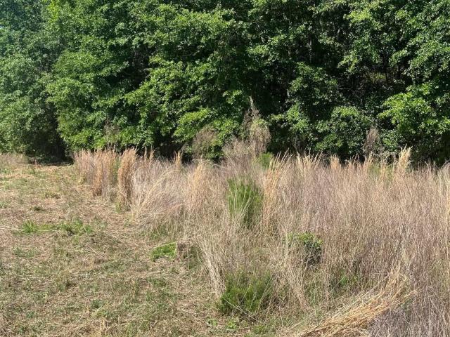 Land for sale in Aiken, South Carolina