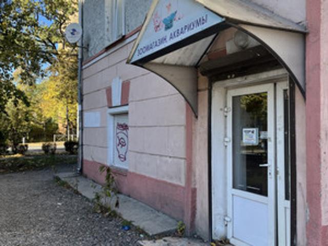 Недвижимость аренда в Калининград, Калининградская область