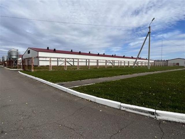 Недвижимость аренда в Алтайский Край