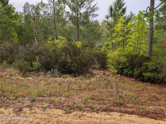 Land for sale in Interlachen, Putnam County