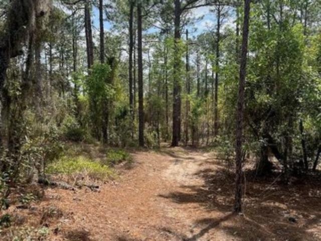 Land for sale in Morriston, Florida