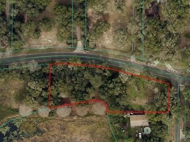 Land for sale in Belleview, Marion County