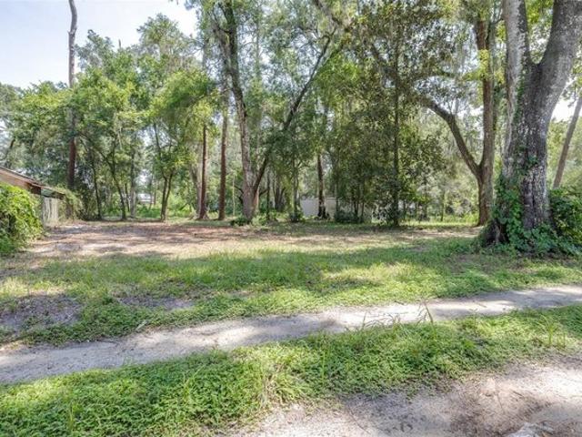 Land for sale in Webster, Florida