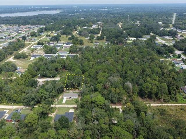 Land for sale in Belleview, Marion County