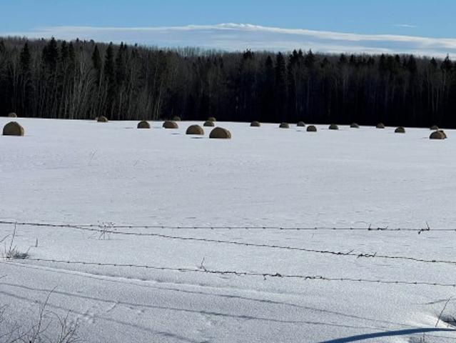 Land for sale in Brazeau, Alberta