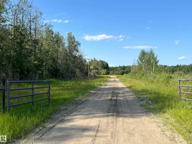 Land for sale in Brazeau, Alberta