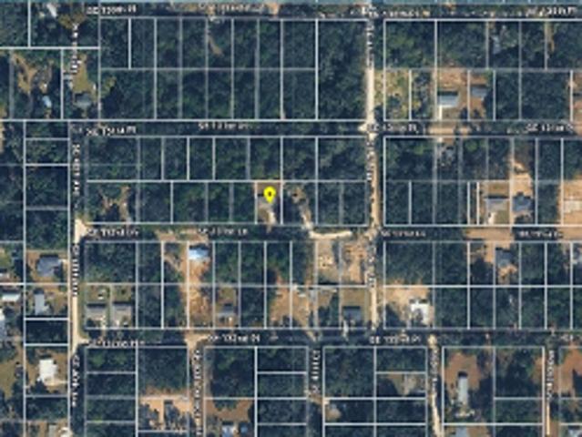 House for sale in Belleview, Marion County