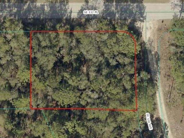 Land for sale in Ocklawaha, Florida
