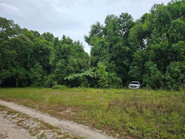 Land for sale in Ocklawaha, Florida