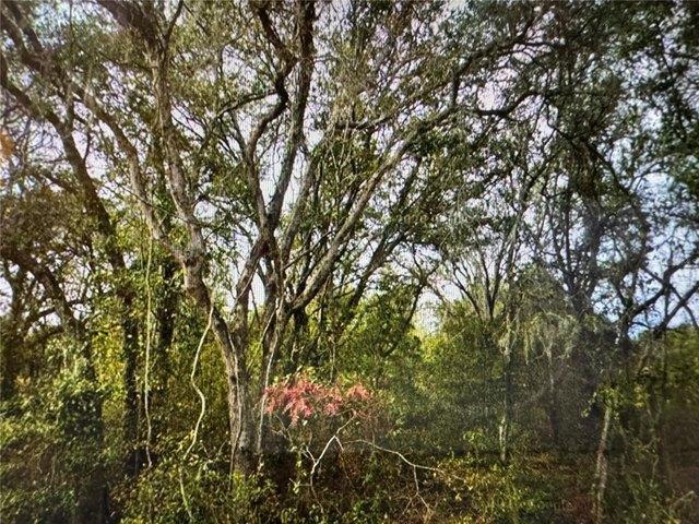 Land for sale in Ocklawaha, Marion County