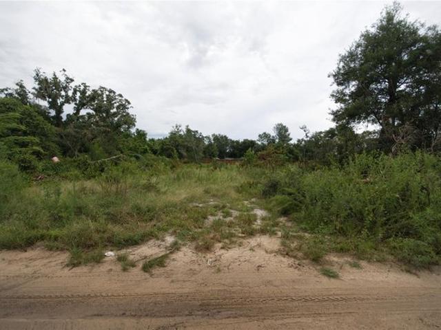 Land for sale in Umatilla, Florida
