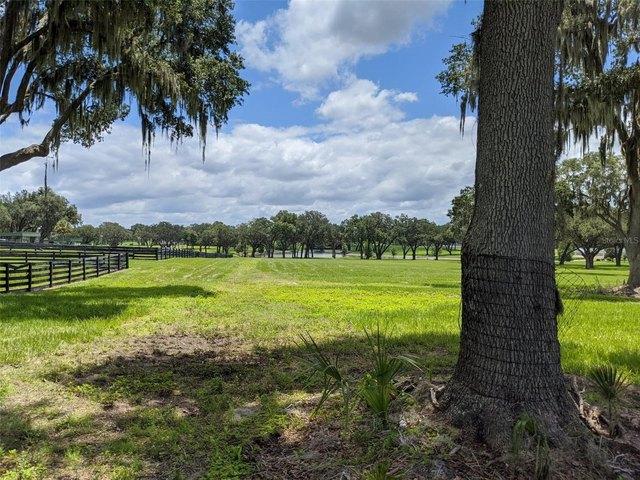 Land for sale in Florida