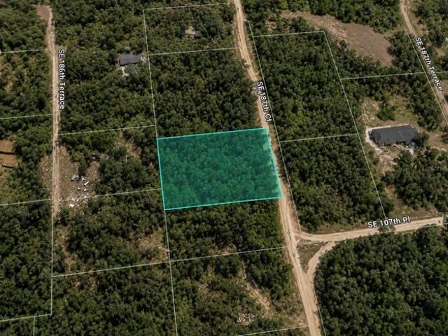 Land for sale in Ocklawaha, Florida