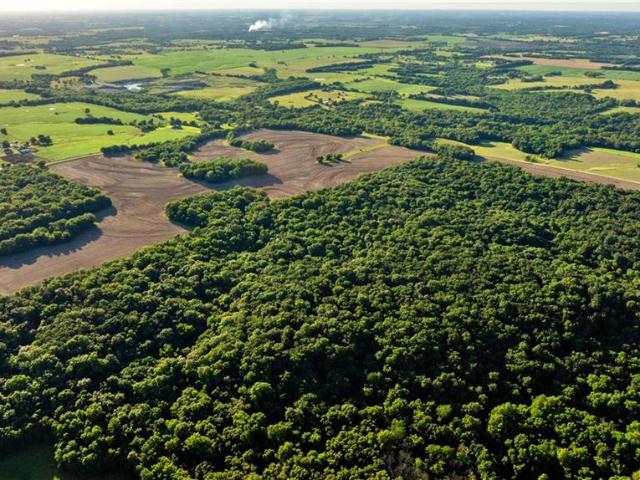 Land for sale in Leeton, Missouri