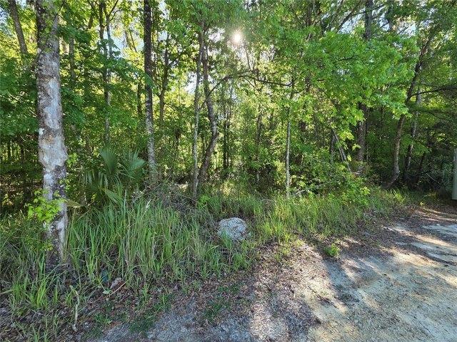 Land for sale in Belleview, Florida