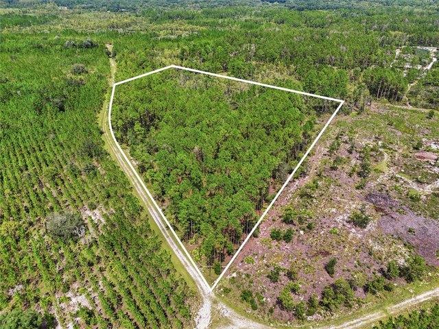 Land for sale in Trenton, Florida