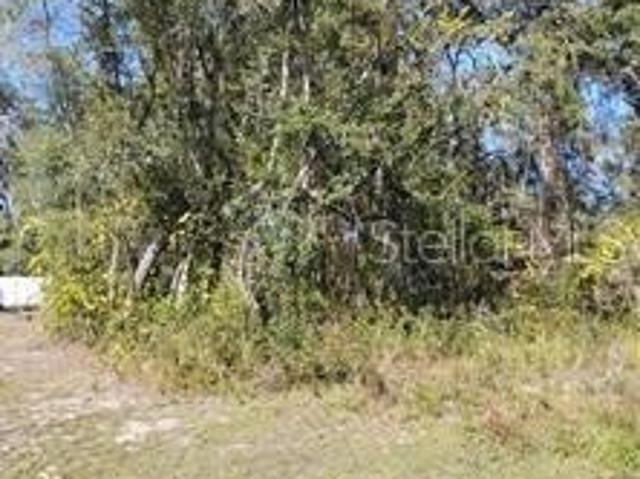 Land for sale in Ocklawaha, Marion County