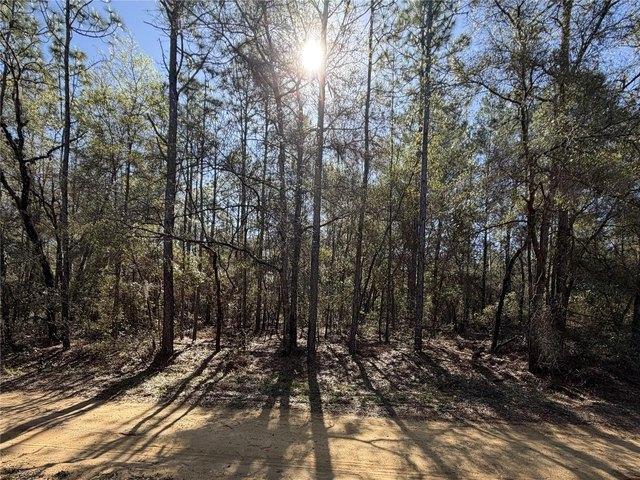 Land for sale in Interlachen, Putnam County