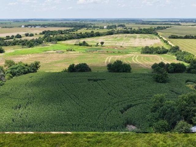 Land for sale in Barton, Missouri