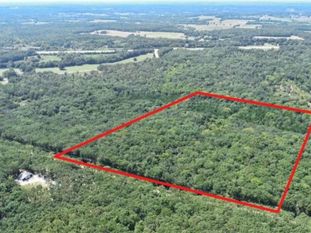 Land for sale in Collins, Missouri