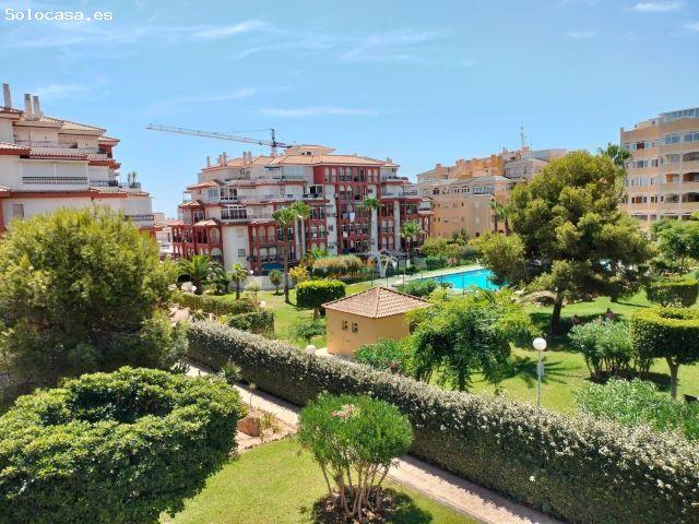 Piso en alquiler en Torrevieja