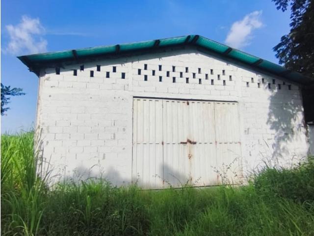 Local Comercial en alquiler en Acarigua, Portuguesa