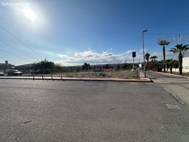 Local Comercial en alquiler en Urbanización Doña Pepa, el Baix Segura / La Vega Baja