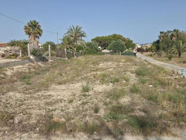 Terreno en alquiler en la Marina, el Baix Vinalopó