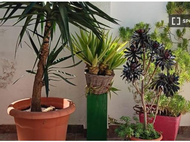 Piso en alquiler en Poblats Marítims, Comarca de València