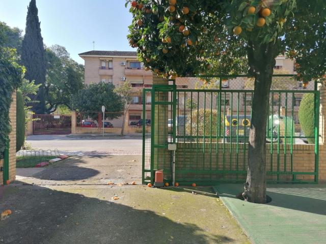 Piso en alquiler en Montealto, Campiña de Jerez