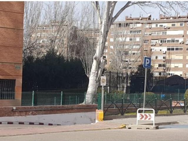 Local Comercial en alquiler en Torrejón De Ardoz, Madrid