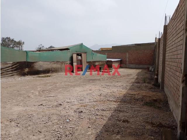 Local Comercial alquiler en Manchay, Lima Metropolitana