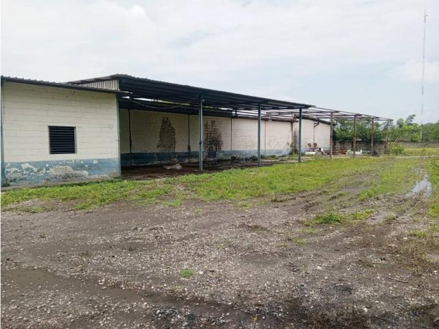 Galpón en alquiler en Araure, Portuguesa