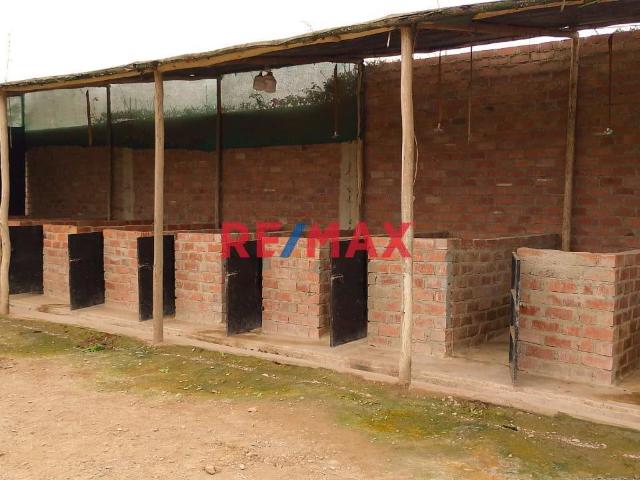 Local Comercial alquiler en Manchay, Lima Metropolitana