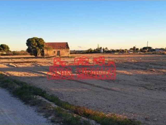 Local Comercial en alquiler en Jubalcoi, Elx / Elche