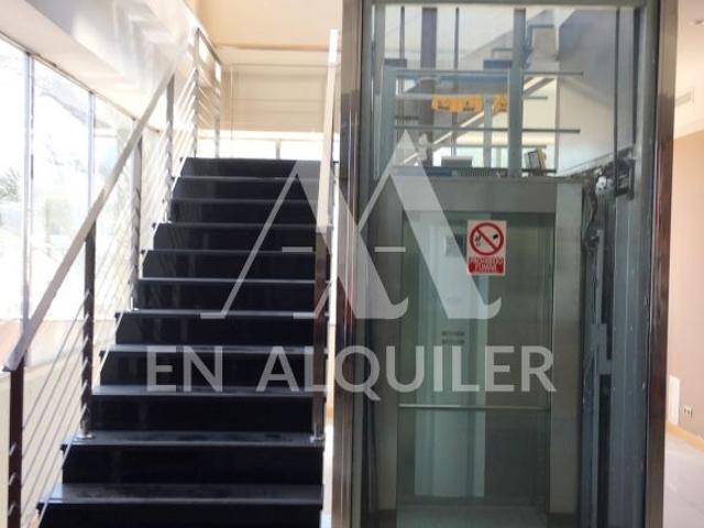 Oficina en alquiler en Molina de Segura, Vega Media del Segura