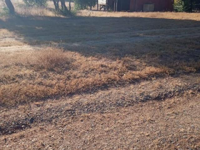 Casa en arriendo en Quilleco, Biobío