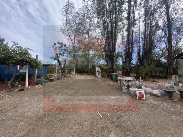 Casa en arriendo en Molina, Provincia de Curicó