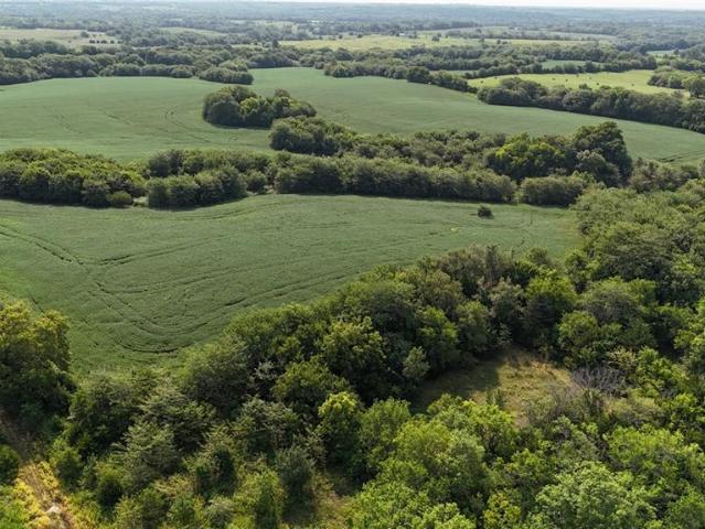 Farm for sale in Braymer, Missouri