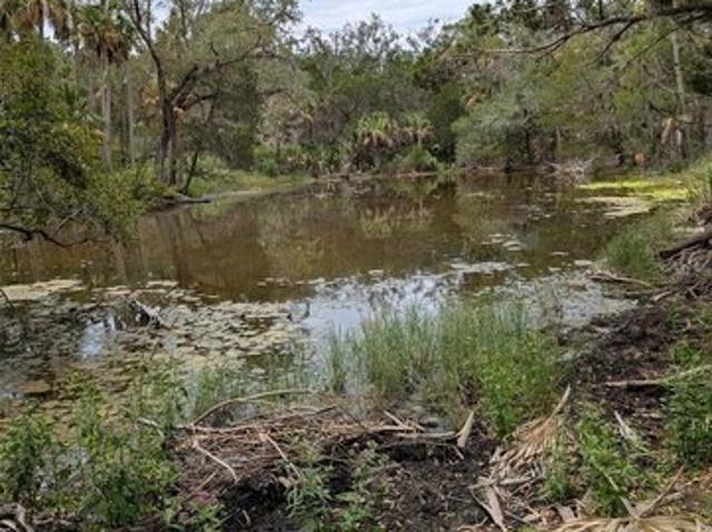 Land for sale in Florida