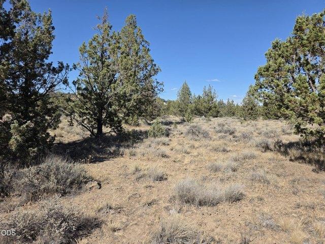 Land for sale in Oregonia