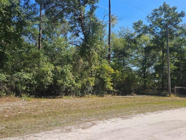 Land for sale in Branford, Suwannee County
