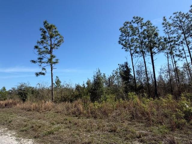 Land for sale in Lee, Florida