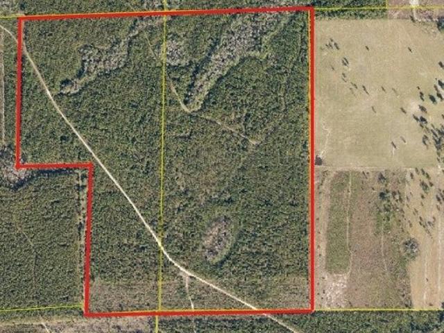 Land for sale in Lake City, Florida