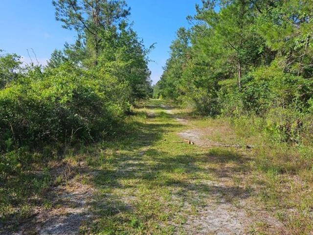 Land for sale in Florida
