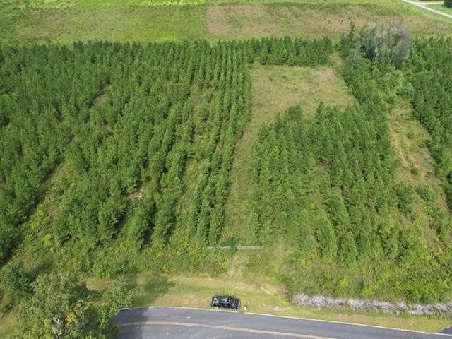 Land for sale in Gulf, Florida