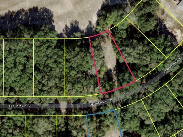 Land for sale in Ocklawaha, Marion County