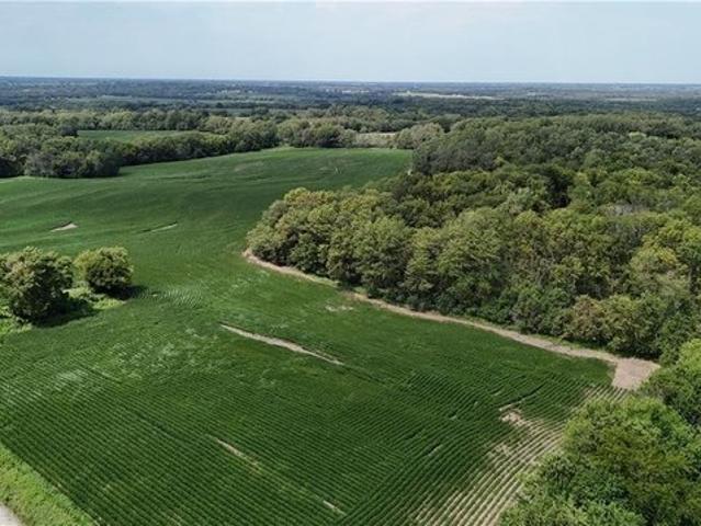 Farm for sale in Maysville, Missouri