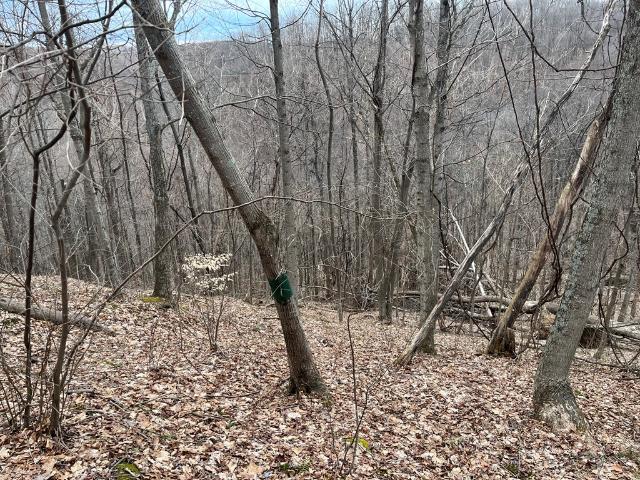 Land for sale in Chillicothe, Ohio
