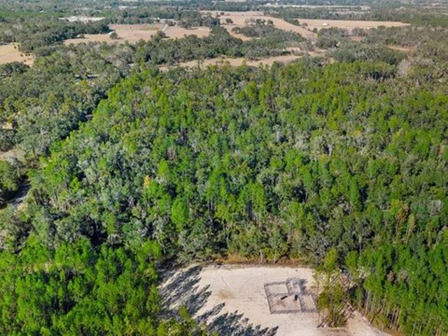 Land for sale in Dixie, Florida
